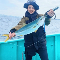 イナダの釣果