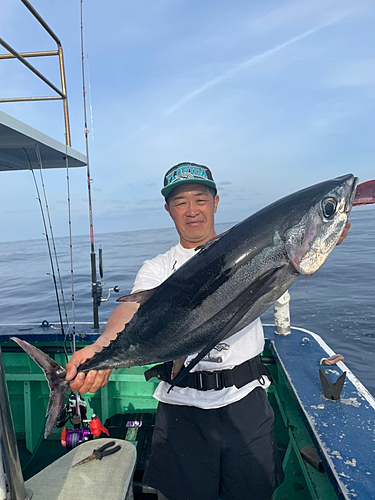 キハダマグロの釣果