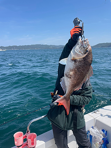 タイの釣果