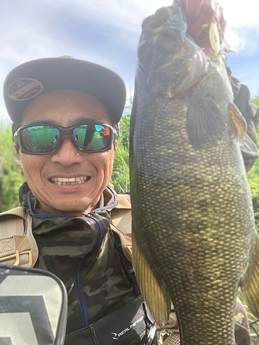 スモールマウスバスの釣果