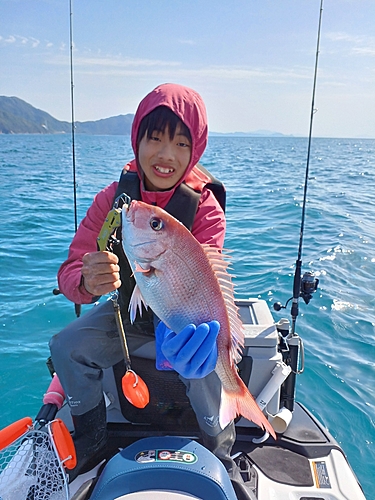 タイの釣果