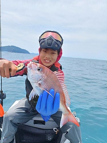 タイの釣果