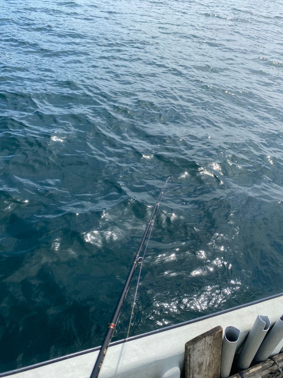 浩房13-80さんの釣果 2枚目の画像