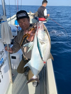 カンパチの釣果