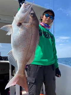 タイの釣果