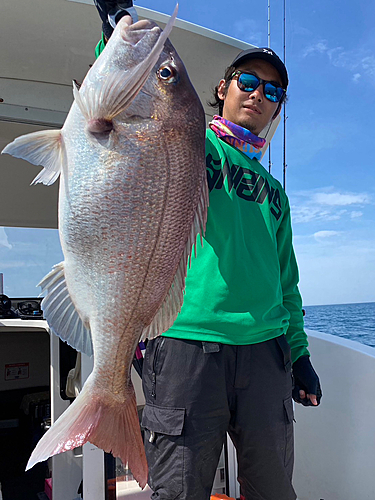 タイの釣果