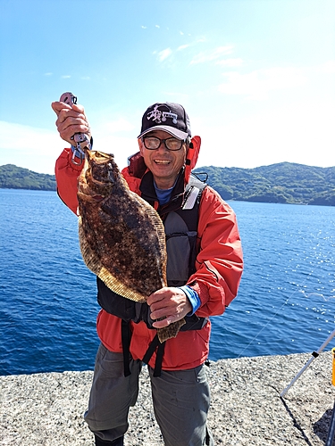 ヒラメの釣果