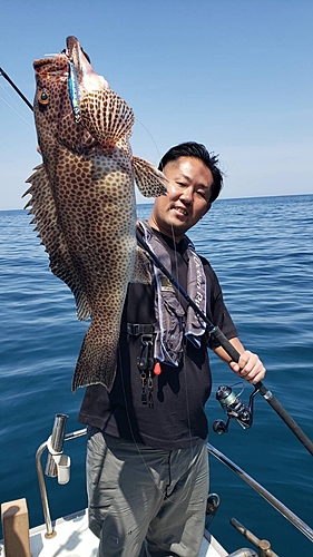 オオモンハタの釣果