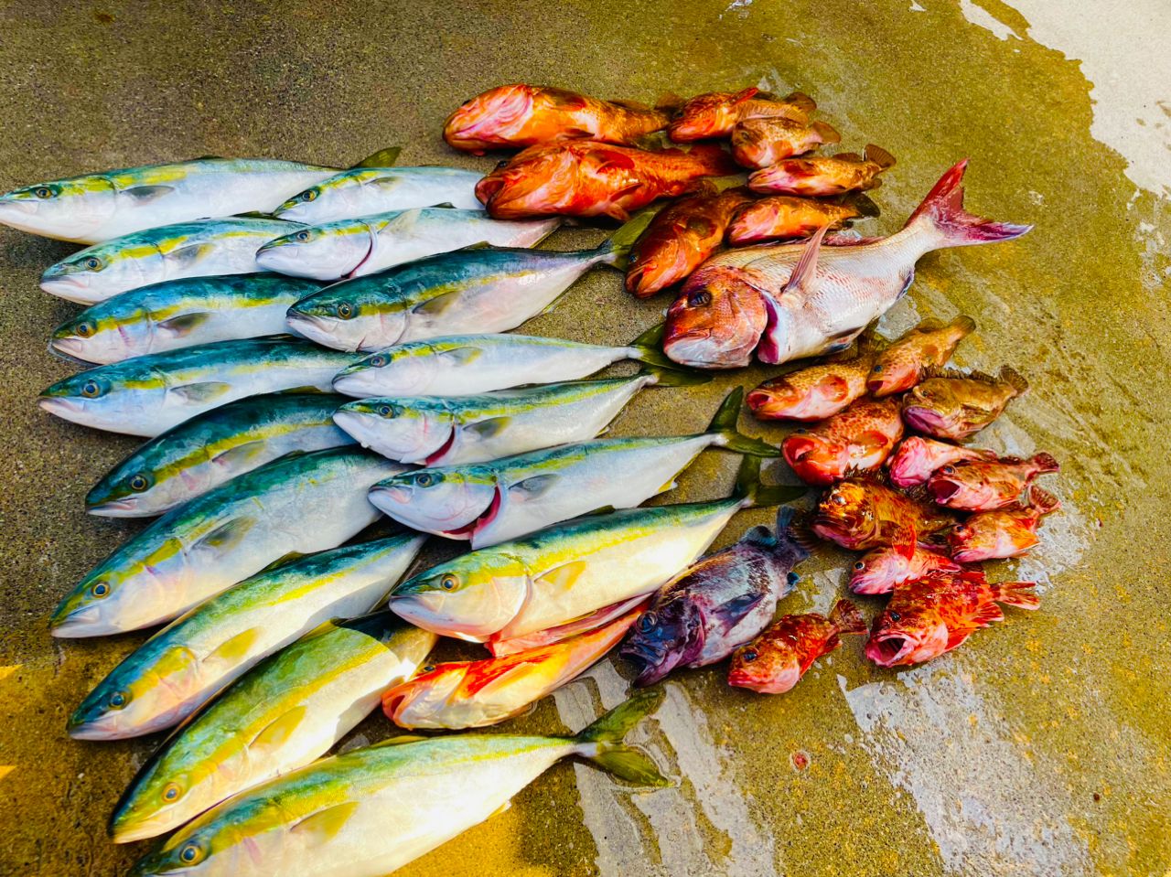 タイ