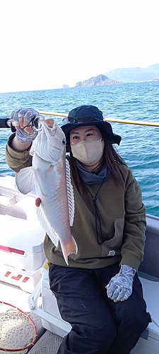 シロアマダイの釣果