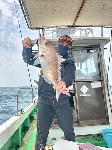 タイの釣果