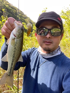 ブラックバスの釣果