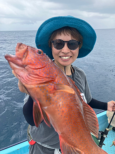 アカジンミーバイの釣果