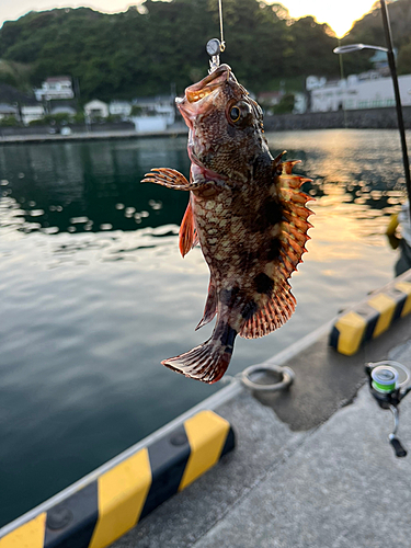 釣果