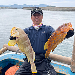 アオハタ