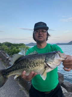 ブラックバスの釣果