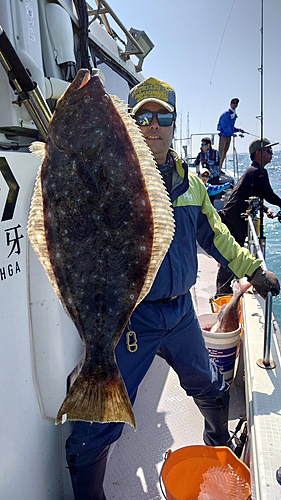 ヒラメの釣果