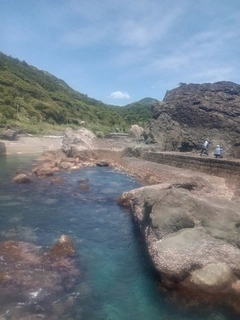 グレの釣果