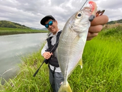 メッキの釣果