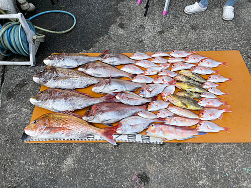 タイの釣果