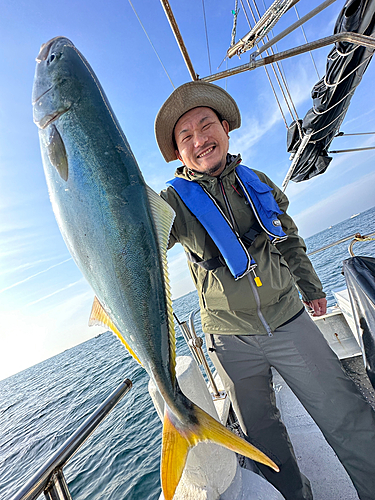 ハマチの釣果