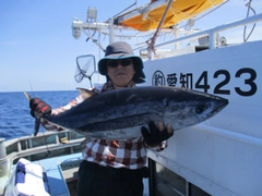 ビンチョウマグロの釣果