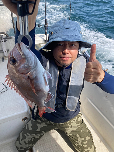 マダイの釣果