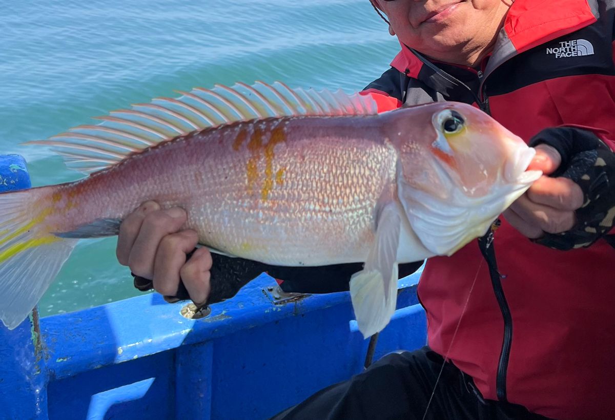 ジンさんさんの釣果 3枚目の画像