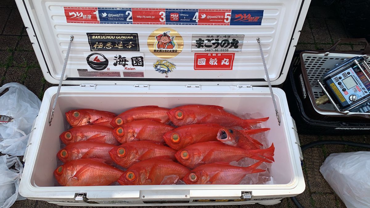 オザッス‼️さんの釣果 3枚目の画像