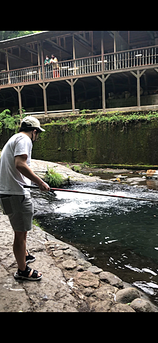 ニジマスの釣果