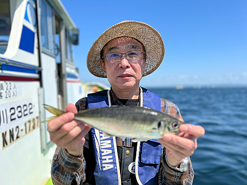 マアジの釣果