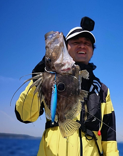 マトウダイの釣果