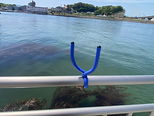 アサヒアナハゼの釣果