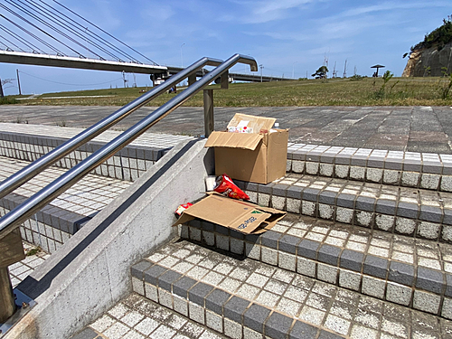 アサヒアナハゼの釣果