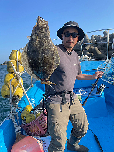 ヒラメの釣果