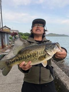 ブラックバスの釣果