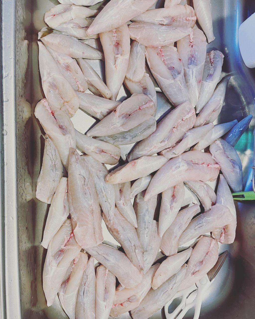 kouhe0110さんの釣果 3枚目の画像