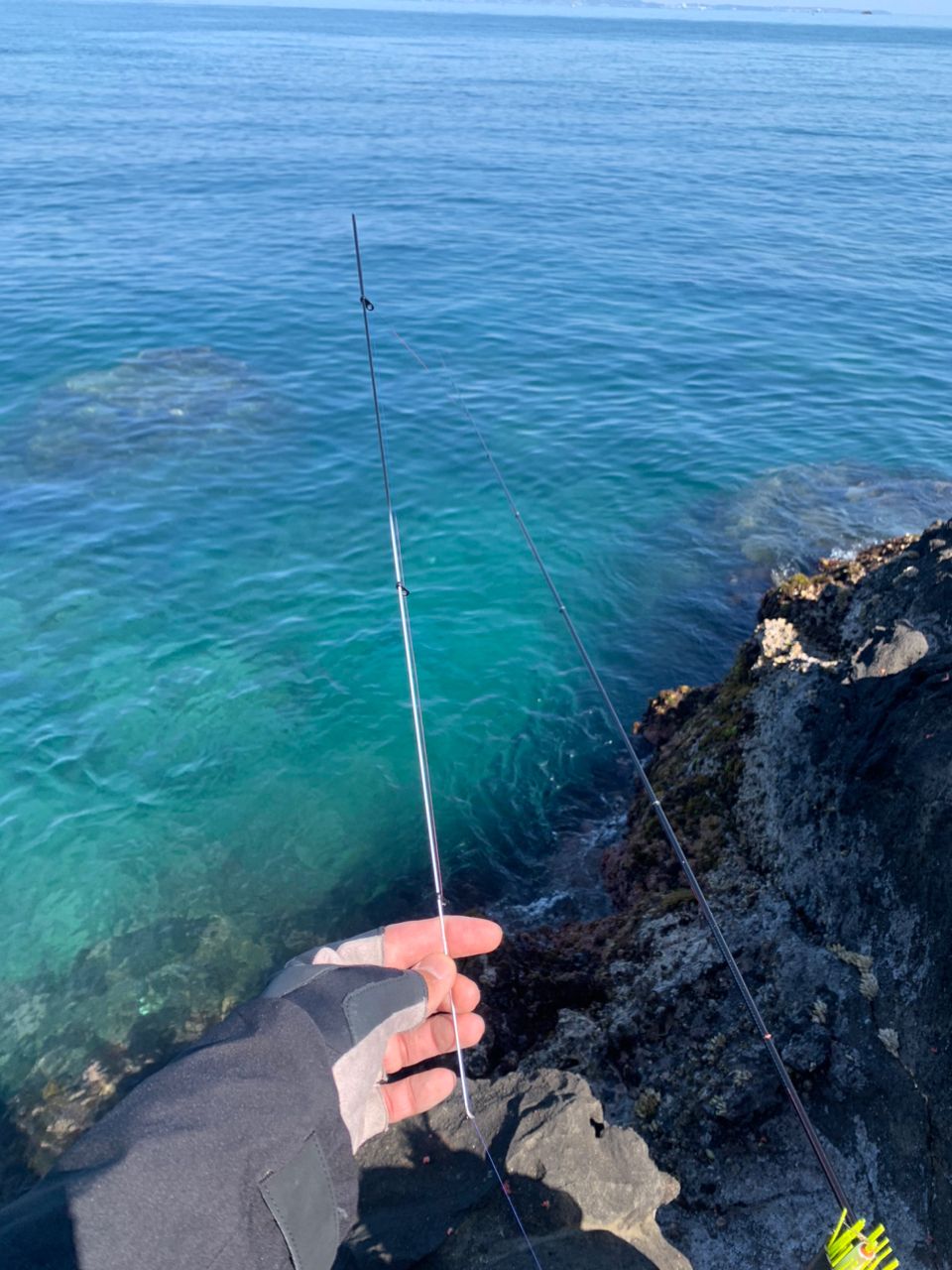クサの上のフグさんの釣果 2枚目の画像