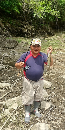 ニゴイの釣果