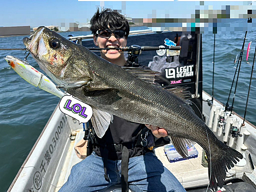 シーバスの釣果