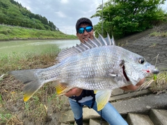 キチヌの釣果