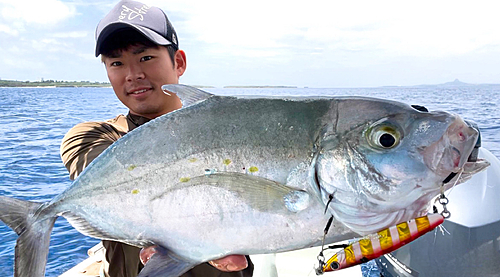 ナンヨウカイワリの釣果