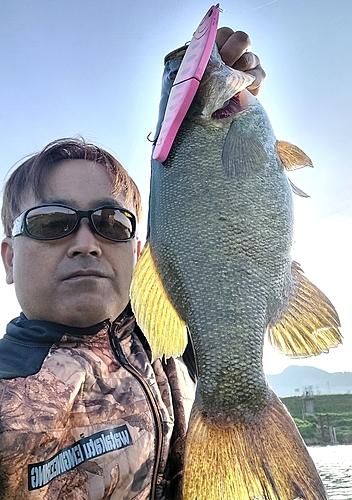 スモールマウスバスの釣果