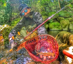 アマゴの釣果