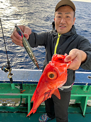 キンメダイの釣果