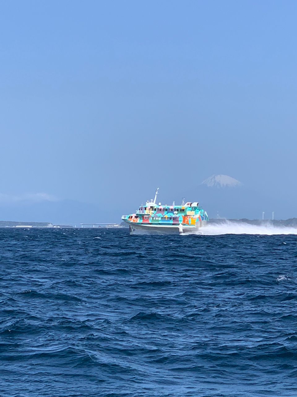 真鯛28号船さんの釣果 3枚目の画像