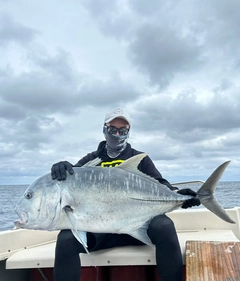 ロウニンアジの釣果