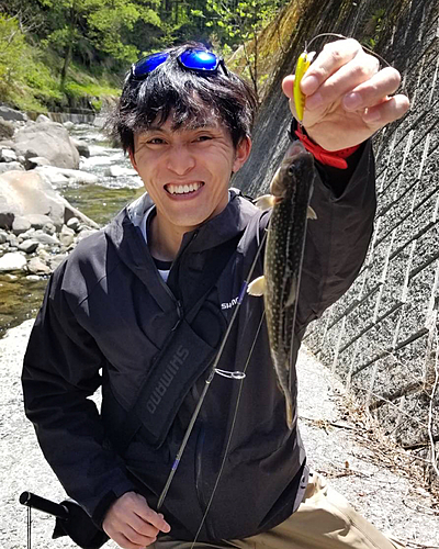 イワナの釣果