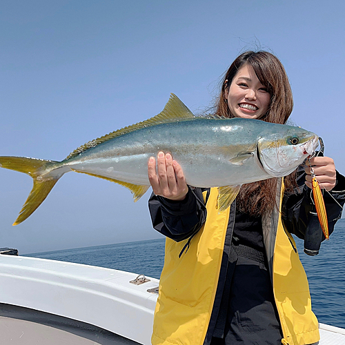 ヒラマサの釣果