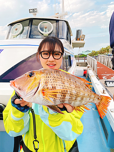 アマミフエフキの釣果